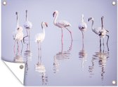 Tuinschilderij Flamingo - Water - Reflectie - Pastel - 80x60 cm - Tuinposter - Tuindoek - Buitenposter