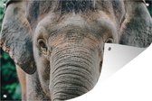 Tuindecoratie Close-up olifant - 60x40 cm - Tuinposter - Tuindoek - Buitenposter
