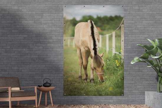 Portrait d'un cheval fjord dans une pelouse 120x180 cm XXL / Groot format!