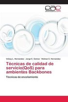 Técnicas de calidad de servicio(QoS) para ambientes Backbones