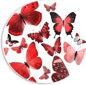 Forex Wandcirkel - Patroon van Rode Vlinders - 20x20cm Foto op Wandcirkel (met ophangsysteem)