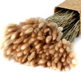 Gedroogde Haasstaartgras Decoratie voor binnenhuis -  - 100pcs Primary color