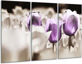 GroepArt - Schilderij -  Tulpen - Paars, Grijs, Wit - 120x80cm 3Luik - 6000+ Schilderijen 0p Canvas Art Collectie