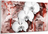 Schilderij Op Canvas Orchidee - Wit, Rood - 120x70cm 1Luik - Foto Op Canvas - GroepArt 6000+ Schilderijen 0p Canvas Art Collectie - Wanddecoratie - Woonkamer - Slaapkamer - Canvas Print