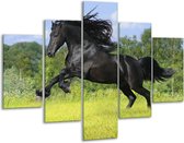 Peinture sur verre de cheval | Noir, vert, bleu | 100x70cm 5Liège | Tirage photo sur verre | F002685