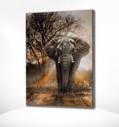 Painting Expert® Schilderen op nummer Volwassenen - Schilderen op nummer Kinderen - Olifant met Zonsondergang - 40x50cm - Exclusief Lijst (24 kleurtjes)