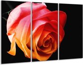 Glasschilderij Roos - Oranje, Rood, Zwart - 120x80cm 3Luik - Foto Op Glas - Geen Acrylglas Schilderij - GroepArt 6000+ Glas Art Collectie - Maatwerk Mogelijk