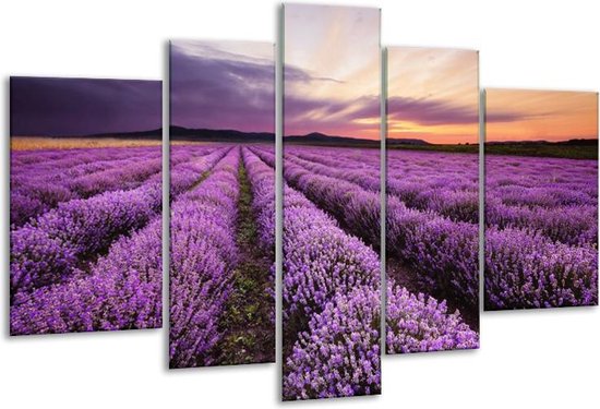 Glasschilderij Lavendel - Paars - 170x100cm 5Luik - Foto Op Glas - Geen Acrylglas Schilderij - 6000+ Glasschilderijen Collectie - Wanddecoratie