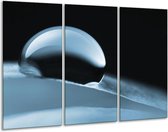 GroepArt - Schilderij -  Macro - Blauw - 120x80cm 3Luik - 6000+ Schilderijen 0p Canvas Art Collectie