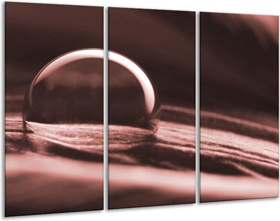 Glasschilderij Macro - Bruin, Rood - 120x80cm 3Luik - Foto Op Glas - Geen Acrylglas Schilderij - GroepArt 6000+ Glas Art Collectie - Maatwerk Mogelijk