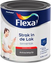 Flexa Strak in de Lak - Watergedragen - Hoogglans - antracietgrijs - 250 ml