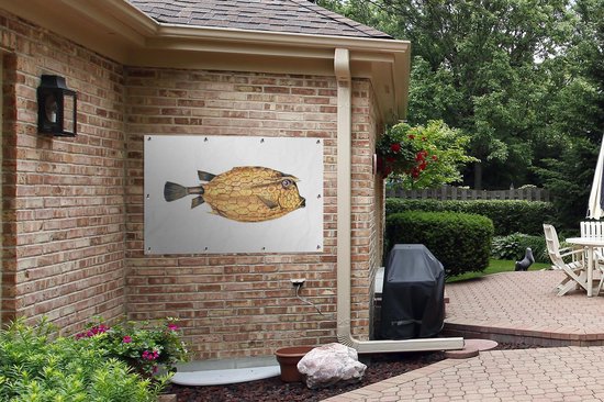 Affiche jardin - Toile jardin - Posters de jardin extérieur - Poisson - Réalisme - Or - 120x80 cm - Jardin