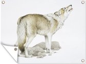 Tuin decoratie Wolf - Stenen - Wit - 40x30 cm - Tuindoek - Buitenposter