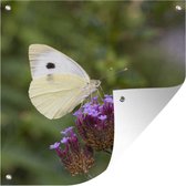 Tuinposters Koolwitje vlinder op kleine paarse bloemen - 50x50 cm - Tuindoek - Buitenposter