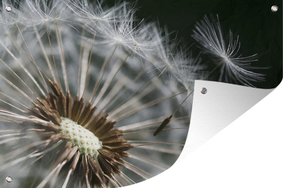 Een biodiverse tuin in Amersfoort | De Plant Technicus Een biodiverse tuin in Amersfoort | De Plant Technicus