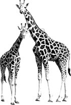 ESTAhome fotobehang giraffen zwart en wit - 158701 - 139,5 cm x 2,79 m