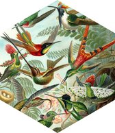 ESTAhome muursticker vogels tropisch junglegroen - 158999 - 70 x 81 cm