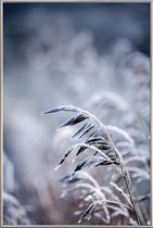 JUNIQE - Poster met kunststof lijst Frosty Morning 5 -40x60 /Blauw &