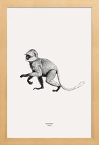 JUNIQE - Poster in houten lijst Monkey -40x60 /Grijs & Ivoor