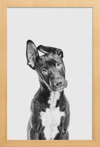 JUNIQE - Poster in houten lijst Hond – Zwart | Wit -30x45 /Grijs &