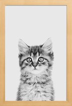 JUNIQE - Poster met houten lijst Kitten Classic -13x18 /Wit & Zwart