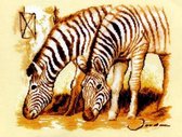 Vervaco Zebra's borduren (pakket)