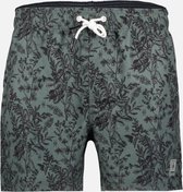 Silvercreek  Swimmer Zwembroek  Mannen Green Grey