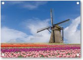 Bloemenveld en molen - Amsterdam - Tuinposter 70x50 - Wanddecoratie - Landschap - Natuur - Bloemen