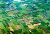 Platteland van Nederland - Puzzel 252 stukjes