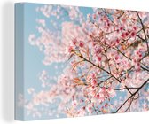 Canvas Schilderij Sakura - Lente - Takken - 120x80 cm - Wanddecoratie