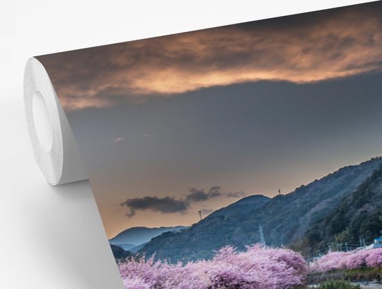 Papier peint Papier peint photo en vinyle - Cerisiers dans les montagnes largeur 600 cm x hauteur 400 cm - Tirage photo sur papier peint (disponible en 7 tailles)