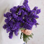 Gedroogde Bloemen Boeket Decoratie voor binnenhuis -  - 80g dark Purple