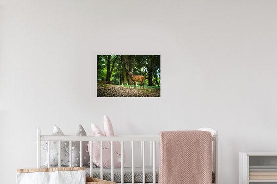Stickers muraux - Film autocollant - Cerf - Forêt - Animal - 30x20 cm - Film adhésif - Stickers muraux Chambre d'enfant - Papier peint autocollant