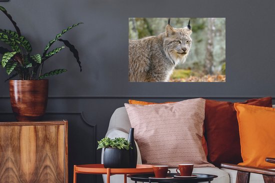 Muurstickers - Sticker Folie - Lynx - Bos - Grijs - 60x40 cm - Plakfolie - Muurstickers Kinderkamer - Zelfklevend Behang - Zelfklevend behangpapier - Stickerfolie