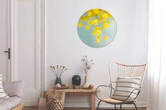 Une plant de mimosa jaune sur fond bleu clair Assiette en plastique cercle mural ⌀ 60 cm - impression photo sur cercle mural / cercle vivant (décoration murale)