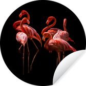 WallCircle - Muurstickers - Behangcirkel - Flamingo - Roze - Zwart - ⌀ 30 cm - Muurcirkel - Zelfklevend - Ronde Behangsticker