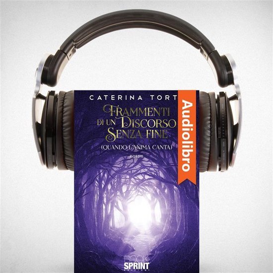 Frammenti di un discorso senza fine - cover