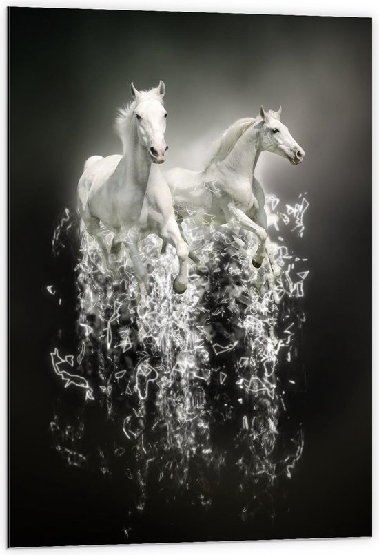 Dibond - Witte Dravende Paarden - 60x90cm Foto op Aluminium (Met Ophangsysteem)