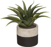 Kunstmatige groene plant aloë vera 28cm met tweekleurige pot - Overig - Zwart - Zwart - SILUMEN