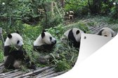 Tuinposters buiten Panda - Natuur - Bamboe - 90x60 cm - Tuindoek - Buitenposter