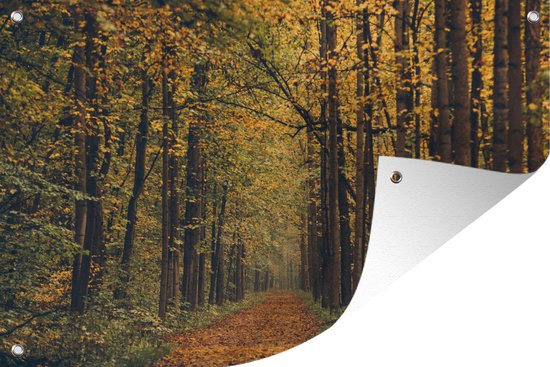Tuindecoratie Bospad bedekt met bladeren - 60x40 cm - Tuinposter - Tuindoek - Buitenposter