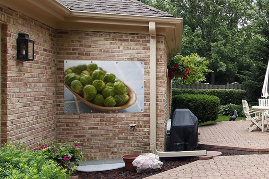 Affiche de jardin Choux de Bruxelles dans un bol en vrac 120x80 cm - Toile de jardin / Toile d'extérieur / Peintures pour l'extérieur (décoration de jardin)