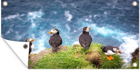 Tuinposter Puffins kijken uit over de zee - 80x40 cm - Wanddecoratie Buiten - Tuinposter - Tuindoek - Schuttingposter - Tuinschilderij