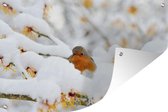 Décoration murale Neige - Rouge-gorge - Branche - 180x120 cm - Poster jardin - Toile jardin - Poster extérieur