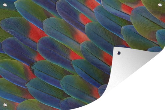 Tuindecoratie Detail veren papegaai - 60x40 cm - Tuinposter - Tuindoek - Buitenposter