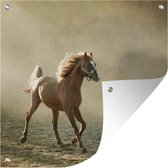 Tuinposters Paard - Zand - Mist - 50x50 cm - Tuindoek - Buitenposter