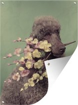Tuin decoratie Vintage portret van een poedel met een tak met bloemen in zijn bek - 30x40 cm - Tuindoek - Buitenposter