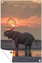 Tuinposter - Tuindoek - Tuinposters buiten - Olifant met modderbad - 80x120 cm - Tuin