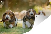 Tuindecoratie Puppy's rennen door het gras - 60x40 cm - Tuinposter - Tuindoek - Buitenposter