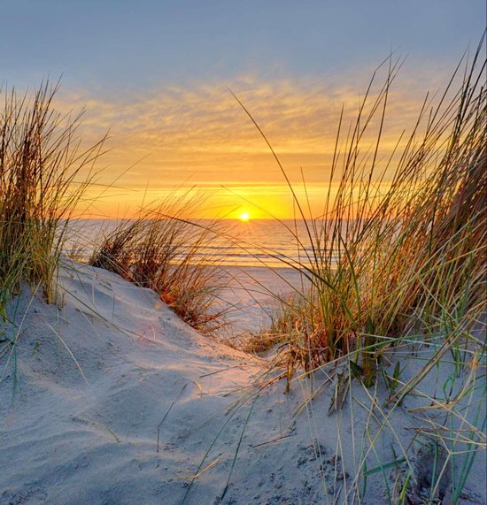 Papier peint photo du moulin à huile avec vue sur les prairies 250 x 260 cm